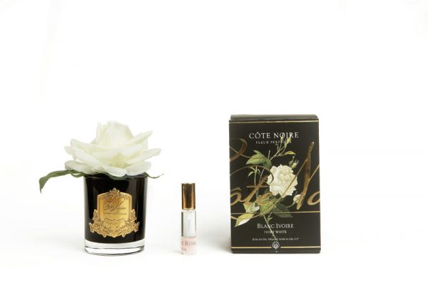 Cote Noire Perfumed Natural Touch Rose In Black – Ivory White