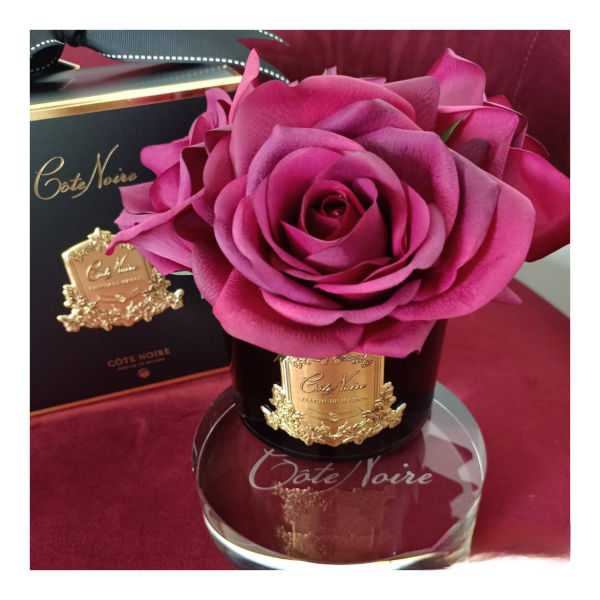 Côte Noire Perfumed Natural Touch 5 Roses – Black – Carmine Red – Burgundy Box