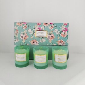 Casa Regalo Frangipani And Gardenia Candles