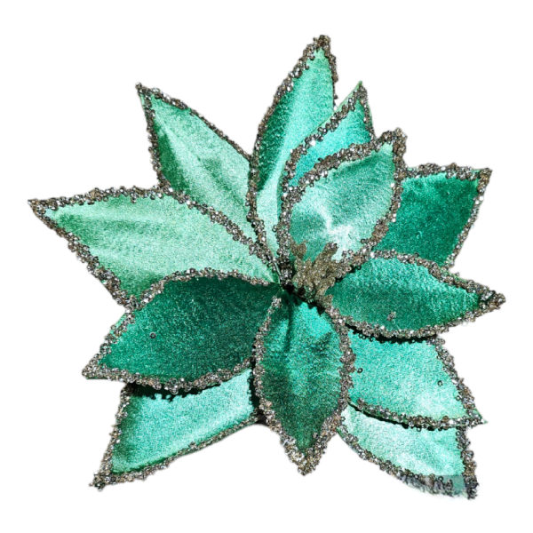 Emerald Green Poinsettia S2