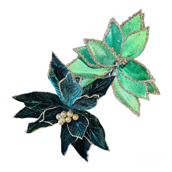 Emerald Green Poinsettia S2