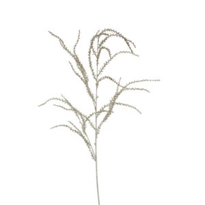 Elegant Dried Pampas Grass Stem