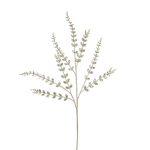 Delicate Dried Botanical Spray
